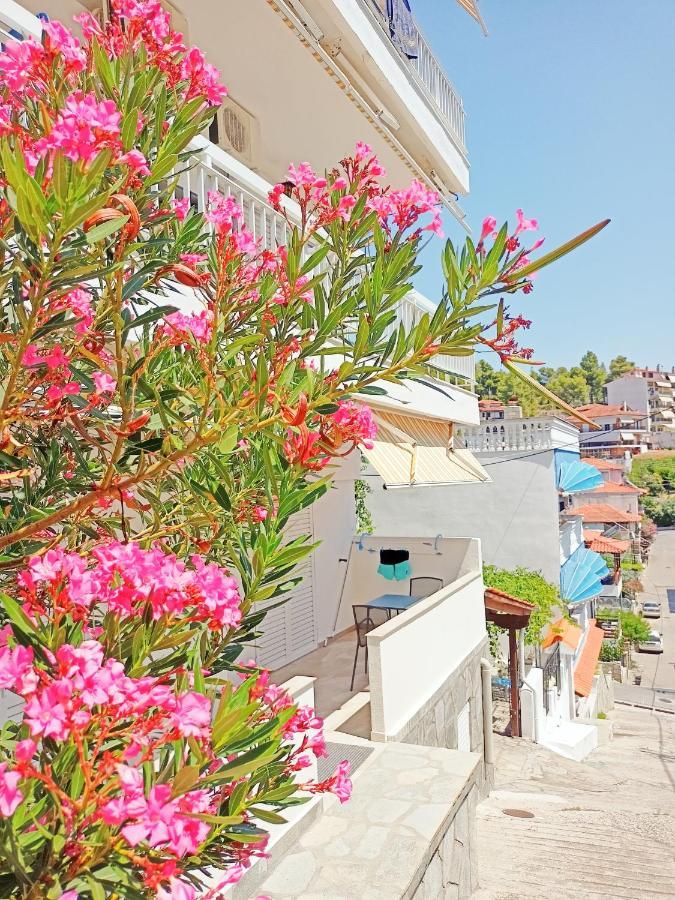 House Charistos Hotel Neos Marmaras Ngoại thất bức ảnh